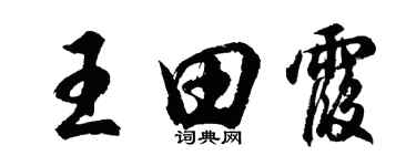 胡問遂王田霞行書個性簽名怎么寫