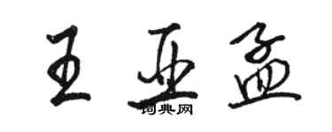 駱恆光王亞孟行書個性簽名怎么寫