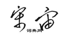 駱恆光宋宙草書個性簽名怎么寫