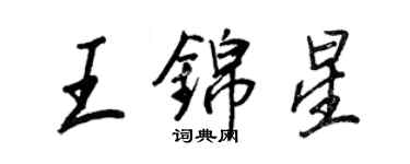 王正良王錦星行書個性簽名怎么寫
