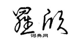 曾慶福羅欣草書個性簽名怎么寫