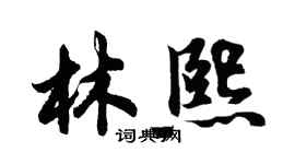 胡問遂林熙行書個性簽名怎么寫