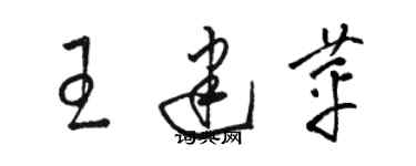 駱恆光王建苹草書個性簽名怎么寫