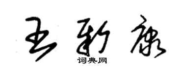 朱錫榮王新康草書個性簽名怎么寫