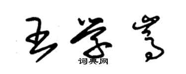 朱錫榮王學嵩草書個性簽名怎么寫