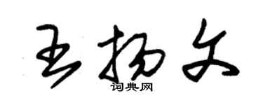 朱錫榮王揚文草書個性簽名怎么寫