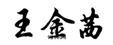 胡問遂王金茜行書個性簽名怎么寫