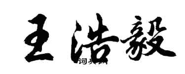 胡問遂王浩毅行書個性簽名怎么寫