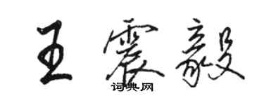 駱恆光王震毅行書個性簽名怎么寫