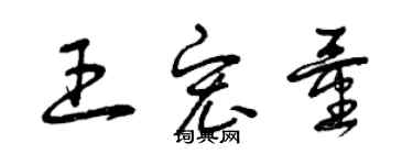 曾慶福王宏量草書個性簽名怎么寫