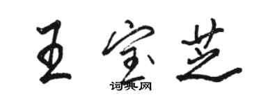 駱恆光王寶芝行書個性簽名怎么寫