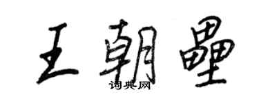 王正良王朝壘行書個性簽名怎么寫