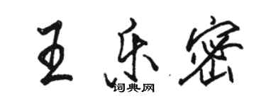 駱恆光王樂密行書個性簽名怎么寫