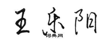 駱恆光王樂陽行書個性簽名怎么寫
