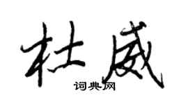 王正良杜威行書個性簽名怎么寫