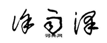 朱錫榮徐雨澤草書個性簽名怎么寫