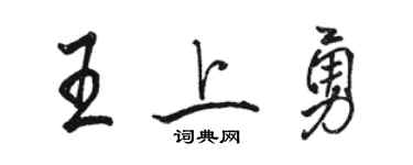 駱恆光王上勇行書個性簽名怎么寫