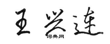 駱恆光王興連行書個性簽名怎么寫