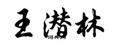 胡問遂王潛林行書個性簽名怎么寫