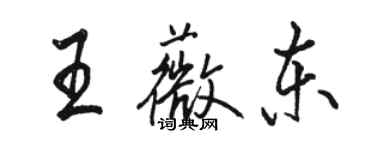 駱恆光王薇東行書個性簽名怎么寫