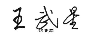 駱恆光王武星行書個性簽名怎么寫