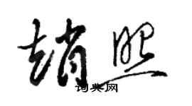 駱恆光趙照草書個性簽名怎么寫