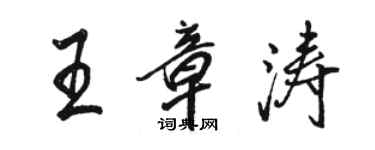 駱恆光王章濤行書個性簽名怎么寫