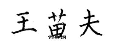 何伯昌王苗夫楷書個性簽名怎么寫