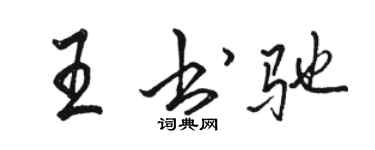 駱恆光王書馳行書個性簽名怎么寫