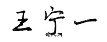 曾慶福王寧一行書個性簽名怎么寫