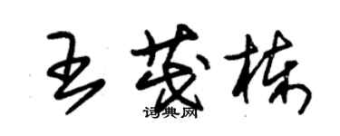 朱錫榮王茂棟草書個性簽名怎么寫