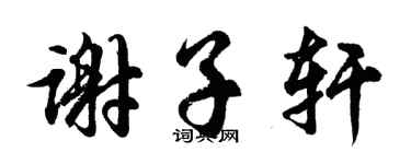 胡問遂謝子軒行書個性簽名怎么寫