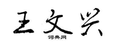 曾慶福王文興行書個性簽名怎么寫