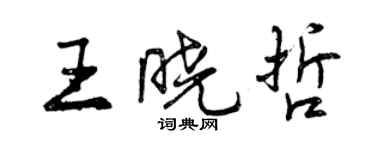 曾慶福王曉哲行書個性簽名怎么寫