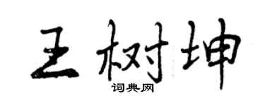 曾慶福王樹坤行書個性簽名怎么寫