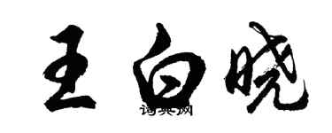 胡問遂王白曉行書個性簽名怎么寫