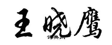 胡問遂王曉鷹行書個性簽名怎么寫