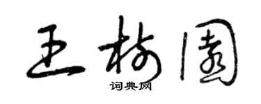曾慶福王樹園草書個性簽名怎么寫