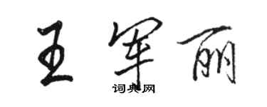 駱恆光王軍麗行書個性簽名怎么寫