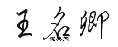 駱恆光王名卿行書個性簽名怎么寫