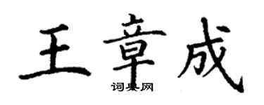 丁謙王章成楷書個性簽名怎么寫