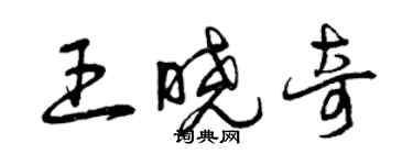 曾慶福王曉奇草書個性簽名怎么寫