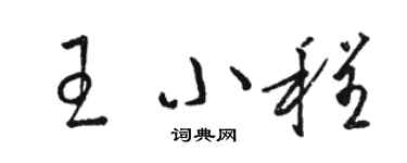 駱恆光王小程草書個性簽名怎么寫