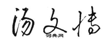 駱恆光湯文博草書個性簽名怎么寫