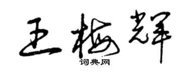 曾慶福王梅輝草書個性簽名怎么寫