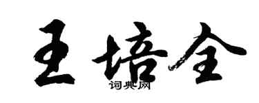 胡問遂王培全行書個性簽名怎么寫