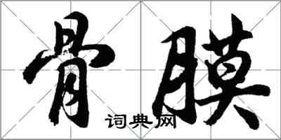 胡問遂骨膜行書怎么寫