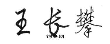 駱恆光王長攀行書個性簽名怎么寫