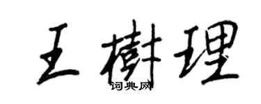 王正良王樹理行書個性簽名怎么寫