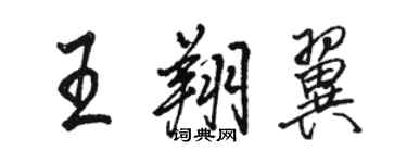 駱恆光王翔翼行書個性簽名怎么寫